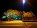 20130320 (37)