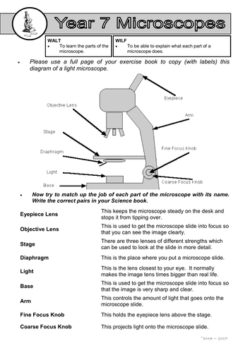 31 Microscope Mania Worksheet Answers - Worksheet Resource Plans