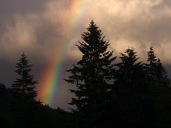 Rainbow and Tree Silhouettes