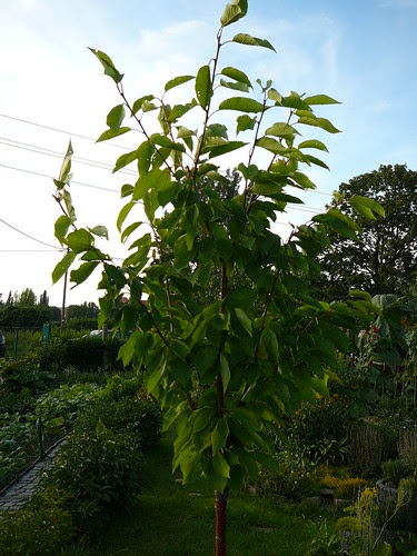 P1020274