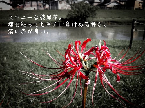 snapshot-1286687422.689463