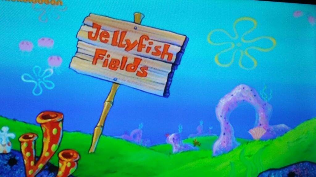 10+ Jellyfish Fields Wallpaper Images