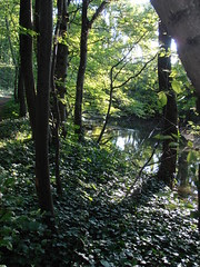 P8050162