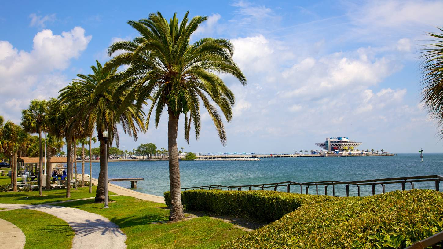 Expedia Car Rental Jacksonville Fl