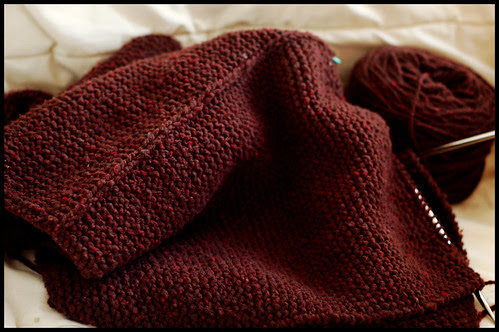 Adult Tomten aka Oversized Garter Swatch