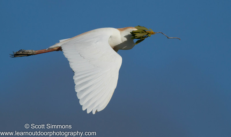 Photo & Video Sharing by SmugMug Photo & Video Sharing by SmugMug
