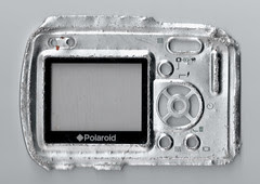 The artifact