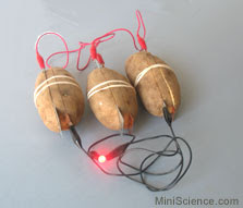 Make your Own.....: How to Produce Electricity from Vegetables