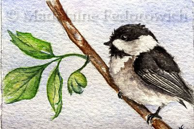 watercolour chickadee painting