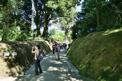 20090615-vs-1563