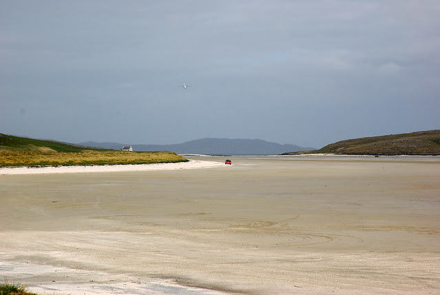 DSC_0475