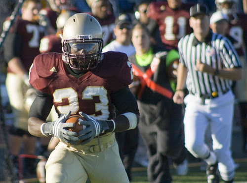 BOBCATS_Nicholls_001
