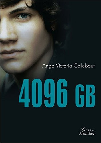 Couverture 4096 GB