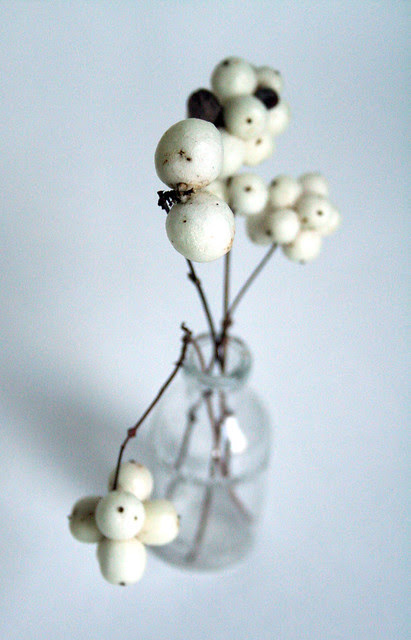 white on white