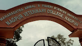 Maharashtra Animal & Fishery Sciences University