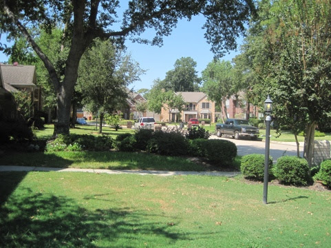 20110913-031150.jpg