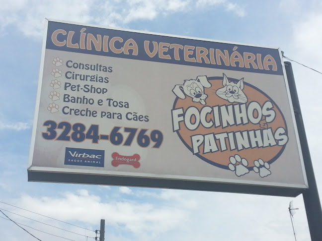 Comentários e avaliações sobre Clínica Veterinária Focinhos e Patinhas