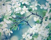 Nature Photography, Art Print, Spring Flowers, Blue Green, Wall Art, Spring Blossoms, Springtime, Home Decor, 5x7 8x10 11x14 or 16x20 Print - RockyTopPrintShop Nature Photography, Art Print, Spring Flowers, Blue Green, Wall Art, Spring Blossoms, Springtime, Home Decor, 5x7 8x10 11x14 or 16x20 Print - RockyTopPrintShop