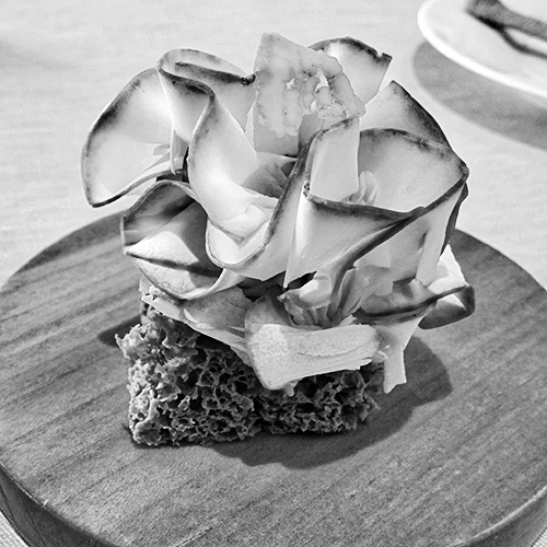 porcini amuse© by Haalo