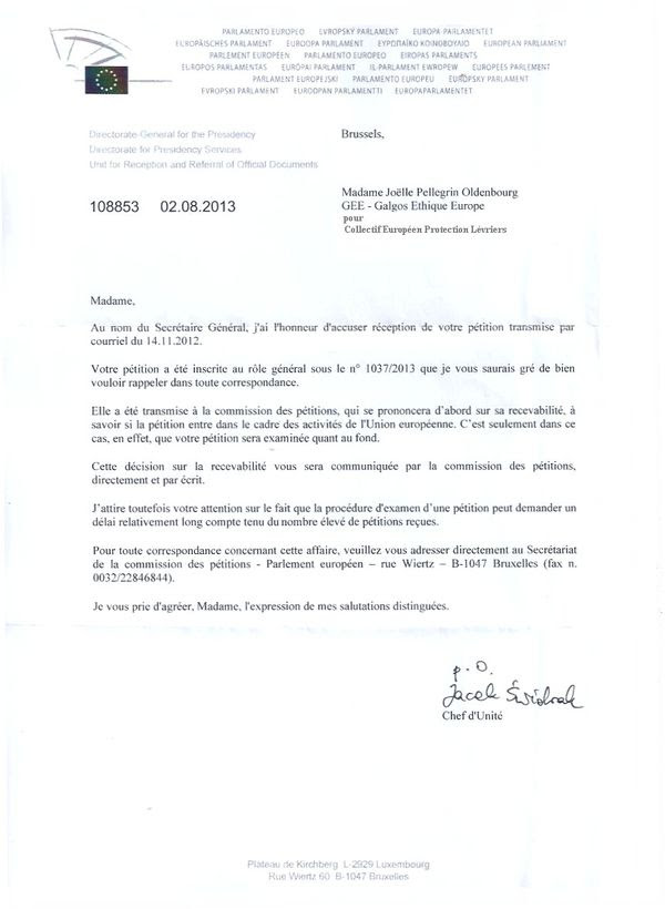 Modele Lettre De Motivation Zara  Job Application Cover Letter