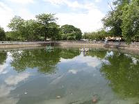 Free Image Hosting at www.ImageShack.us