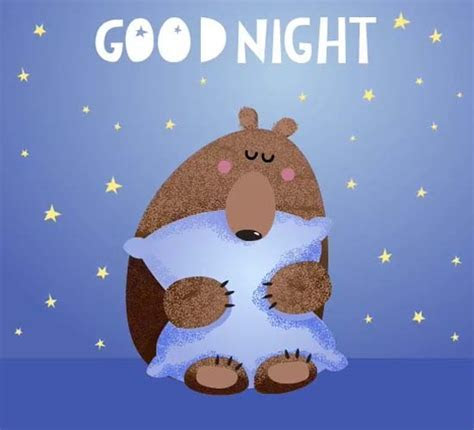 Good Night Bear. Free Good Night eCards, Greeting Cards Good Night Bear. Free Good Night eCards, Greeting Cards
