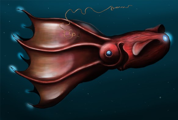 Kid Facts - Fun daily facts for kids!: Vampire Squid