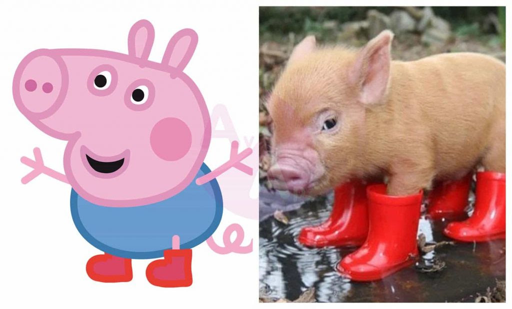 Quien Es Peppa Pig En La Vida Real - Axiorg