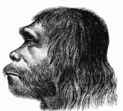 Homolar niyə danışmağa başladılar?
