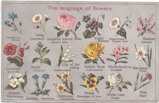Популярный в Викторианскую эпоху язык цветов («селам») — Записки о моде,  жизни и красоте