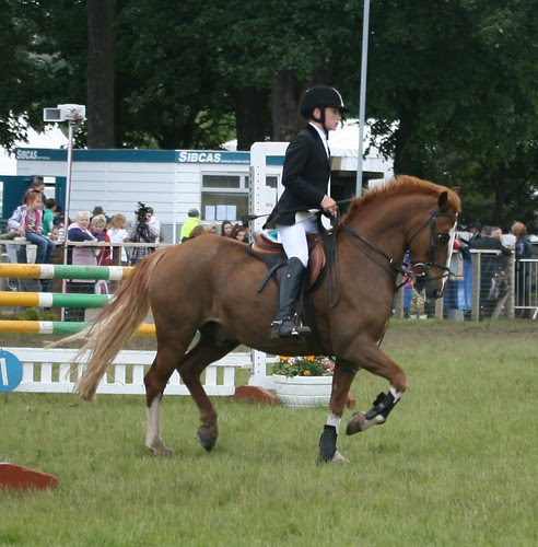 Showjumping