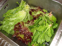 green salad