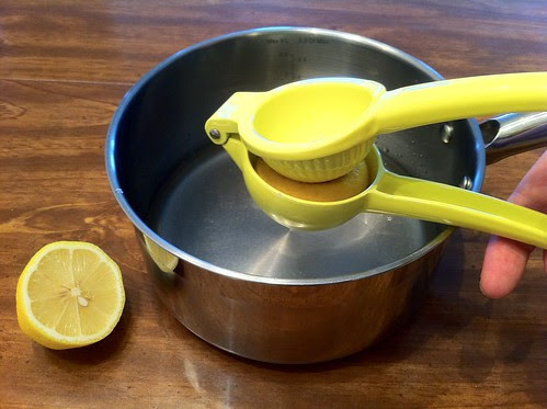 Freshly Squeezed Lemon Juice