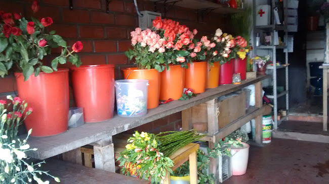 Opiniones de Floreria Jardin Los Rosales en Lima - Floristería