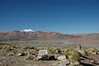 4855m