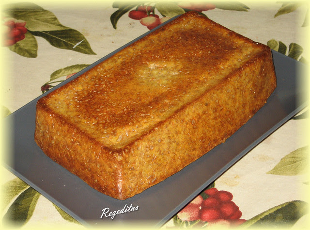 BIZCOCHO DE ZANAHORIA Y SALVADOS