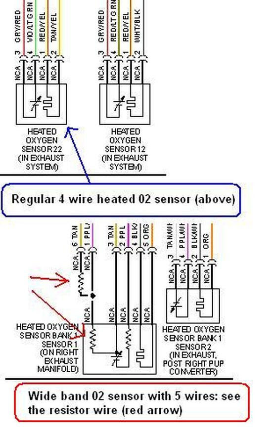 5 Wire O2 Sensor Wiring Diagram - Drivenheisenberg