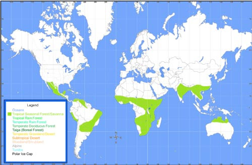 Tropical Rainforest Longitude And Latitude : Amazon Rainforest ...