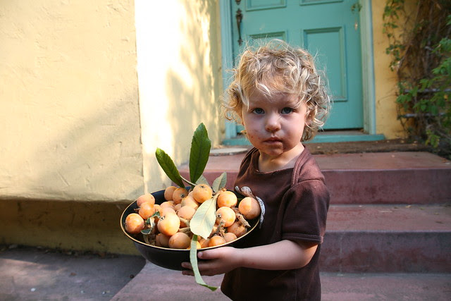 Lila with her bowl of loquats (very proud)