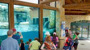 Zoo «Kansas City Zoo», reviews and photos, 6800 Zoo Dr, Kansas City, MO 64132, USA