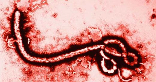 Ο ιός του Έμπολα