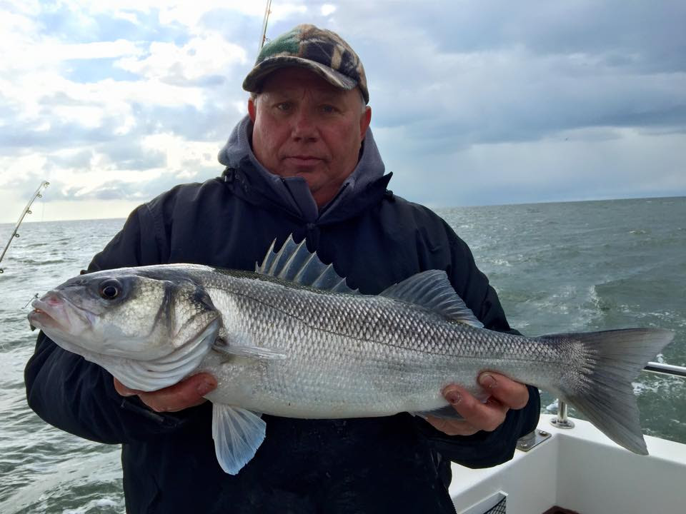 British Record Sea Bass