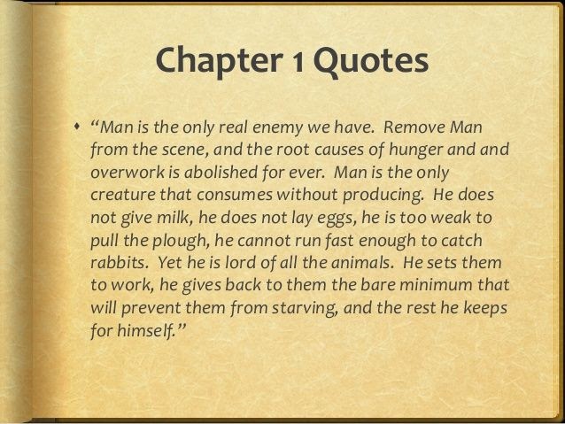 Animal Farm Summary Chapter 4 - ANIMALQU