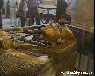 Golden coffin