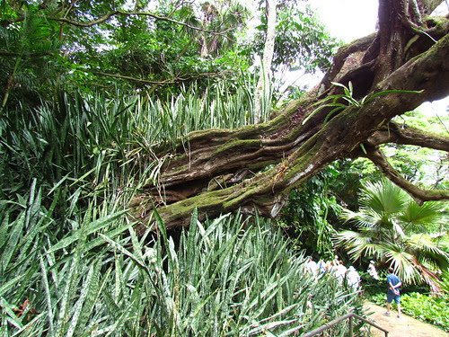 Allerton Garden