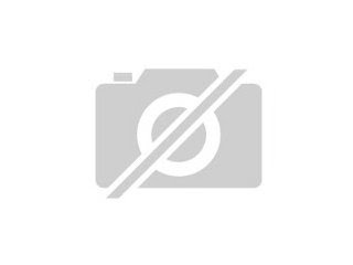Mops Hund Welpe - SUINDACHO