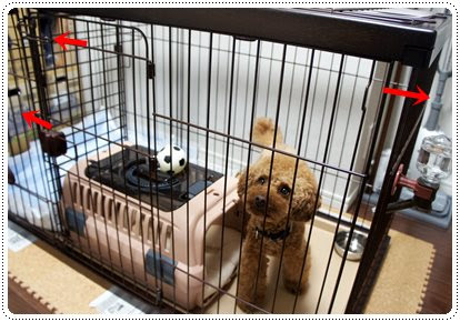 様々な画像 有名な 犬 ケージ レイアウト