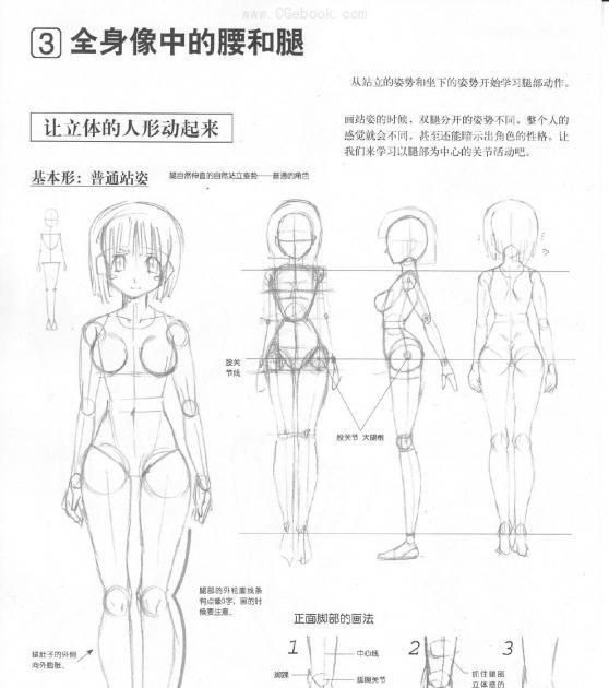 Girls Full Body Picture Anatomy / 152 320 Human Body Parts Stock Photos