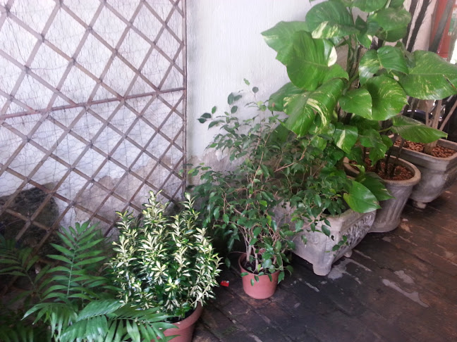 Recreio das Flores - Floricultura