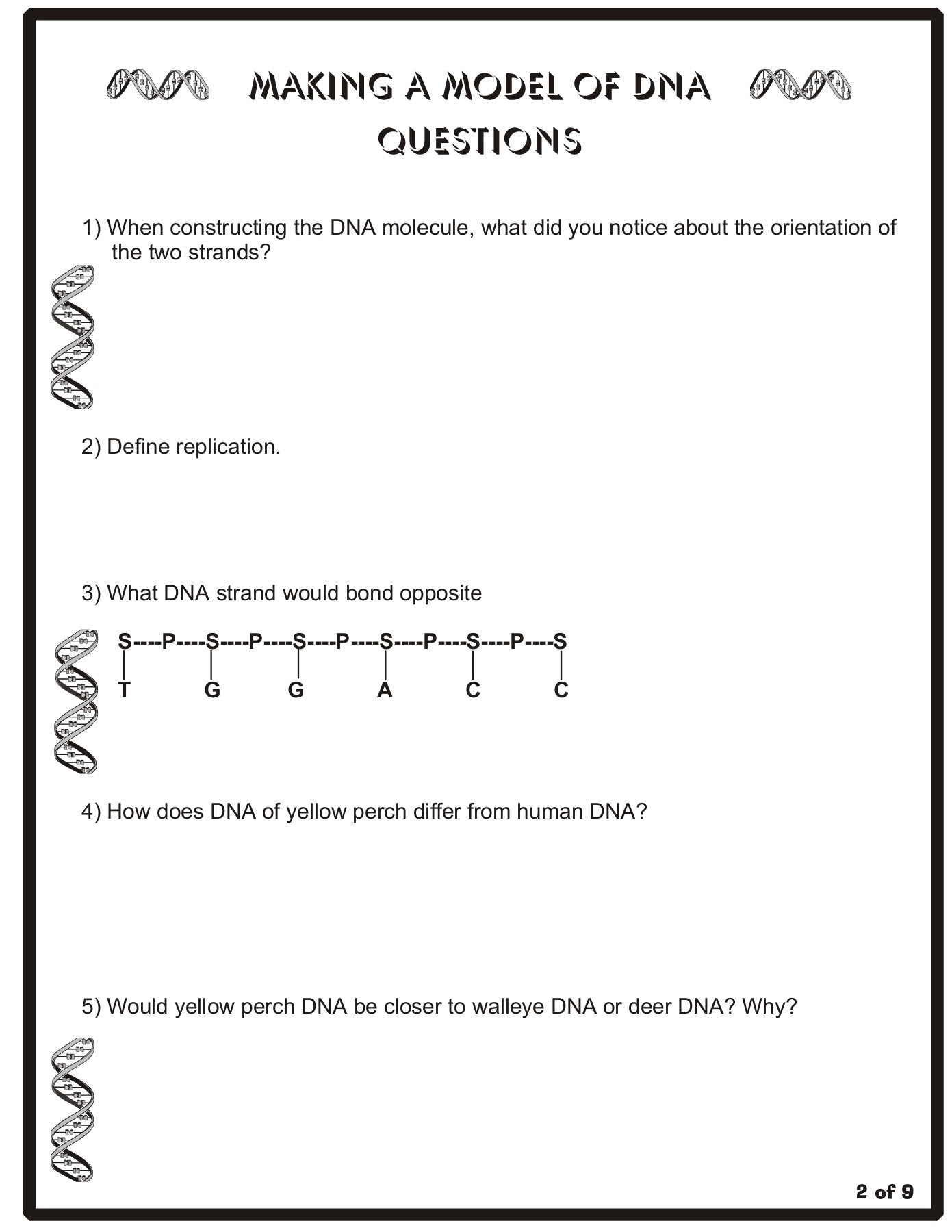 Build A Dna Ladder Worksheet Answers